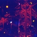 s8-crash-td-girder-light708resized