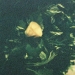 F1020019-copy
