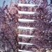 NDROOP3_11
