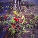 NDROOP3_13