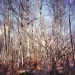 NDROOP3_25