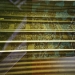 NDROOP3_34