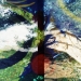 NDROOP2_14
