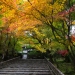kyoto-2013-31